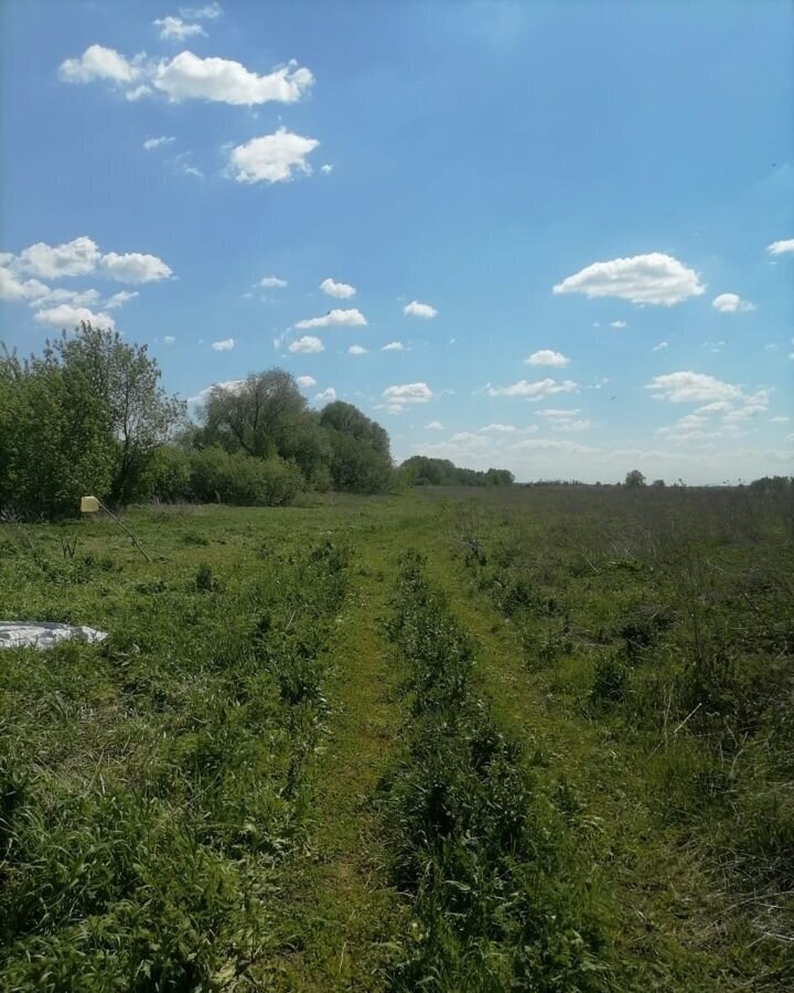 земля г Воскресенск снт Чайка городской округ Воскресенск, Белоозёрский фото 27