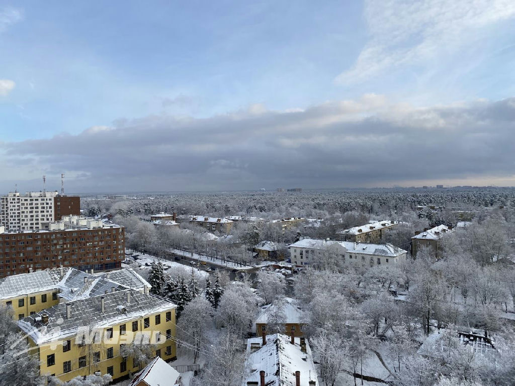 квартира г Люберцы дп Красково Красково дп, дп Карла Маркса ул., 117/1 фото 10