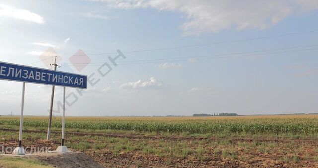 земля муниципальное образование Краснодар, станица Елизаветинская фото