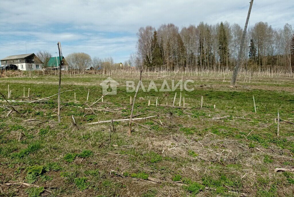 земля р-н Сыктывдинский д Захарово местечко Волокул фото 15