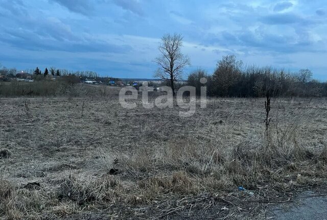 р-н Ясногорский п Боровковский Ревякинское, муниципальное образование фото