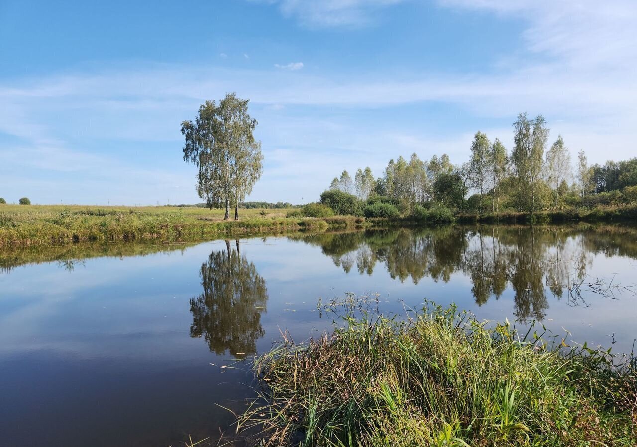 земля городской округ Щёлково с Петровское 9763 км, 13А, Красноармейск, Фряновское шоссе фото 5