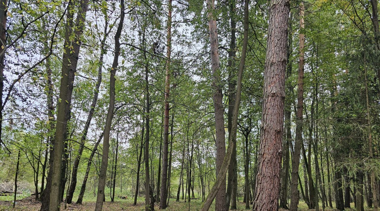 земля городской округ Чехов д Прохорово фото 1