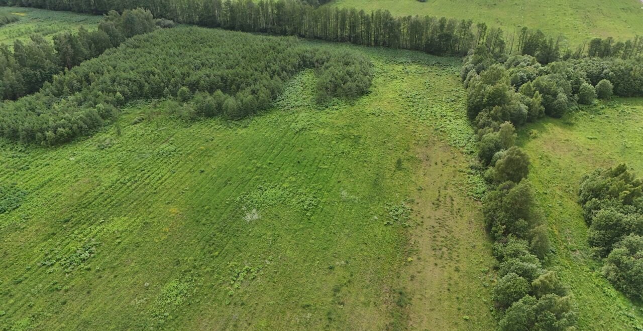 земля городской округ Ступино д Бабеево 9762 км, Электросталь, Носовихинское шоссе фото 21