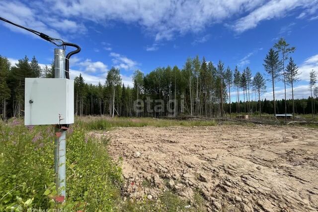 городской округ Сыктывкар, Эжвинский фото