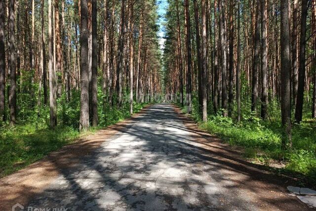 дачный посёлок Кудряшовский, Лесная улица фото