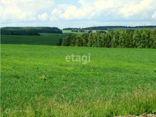 земля тсн Экопарк фото