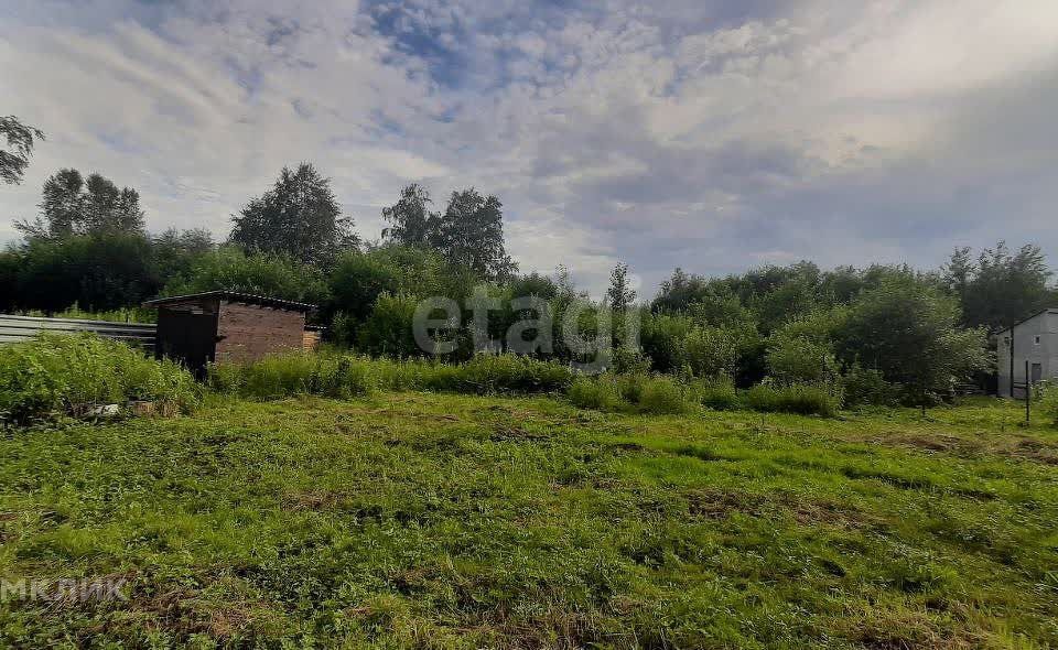 земля р-н Коченевский СНТ Тальник фото 1