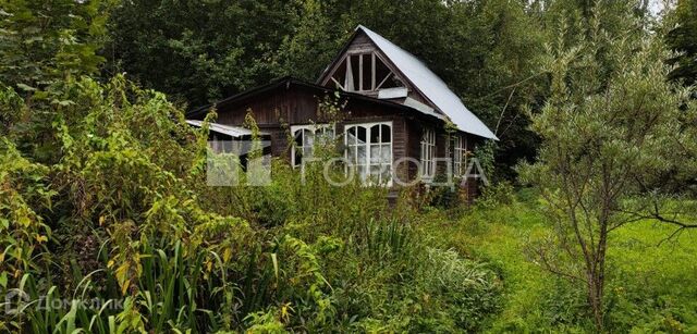 городской округ Рузский деревня Марково фото