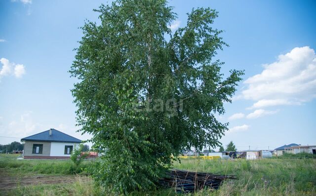 ул Осенняя Бердское шоссе, 5809 км фото