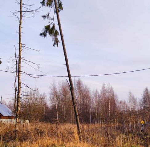 Переславль-Залесский городской округ фото