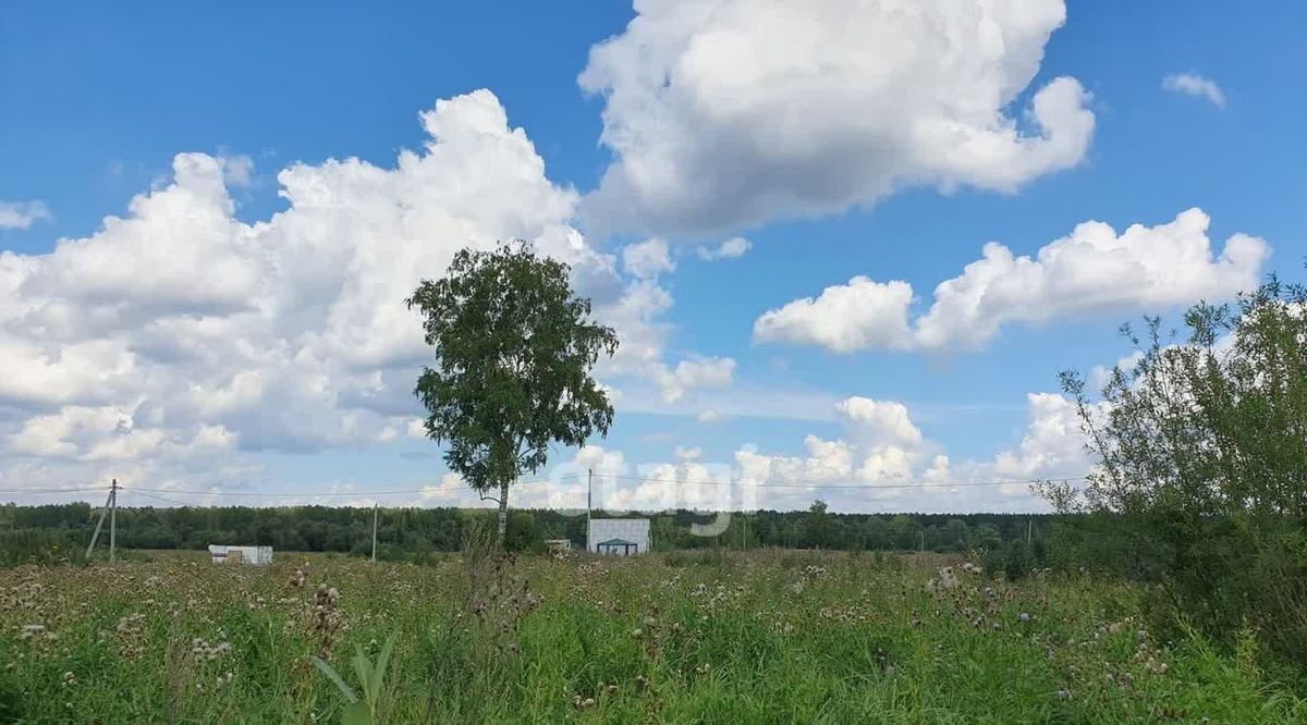 земля р-н Новосибирский снт Озерки Криводановский сельсовет, ДНТ фото 7