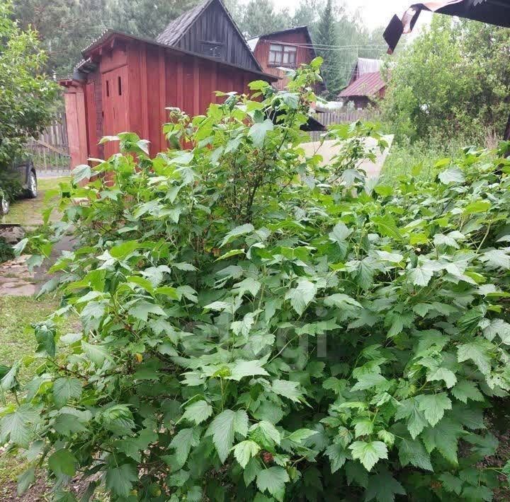 дом р-н Новосибирский снт Мелиоратор Новолуговской сельсовет, ул. Лесная фото 31