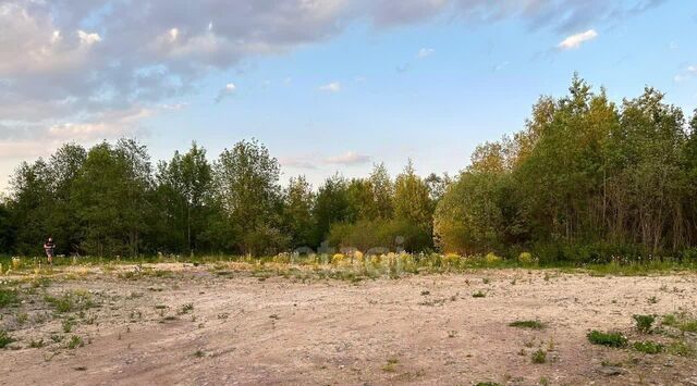 земля п Ульяновка Ульяновское городское поселение, 4 фото