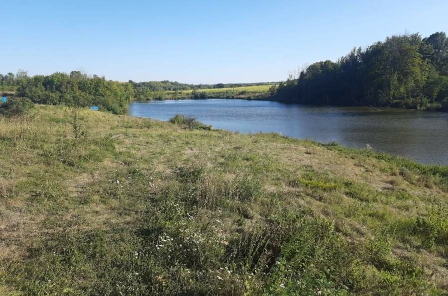 земля р-н Рамонский с Чистая Поляна ул Веселая фото 5