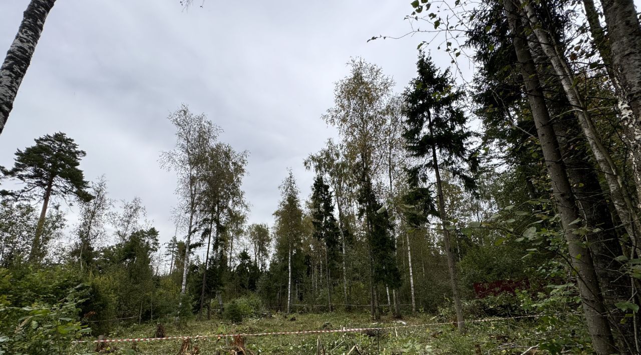 земля городской округ Солнечногорск с Алабушево р-н мкр Дедешино-4 Зеленоград — Крюково фото 2