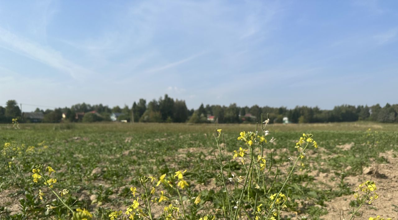 земля городской округ Сергиево-Посадский с Абрамцево фото 3