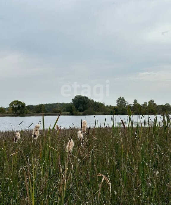 дом городской округ Талдомский д Бардуково фото 12