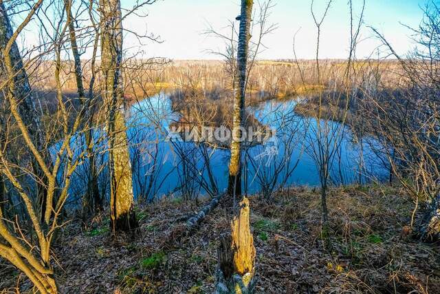 земля с Морозово ул Центральная фото