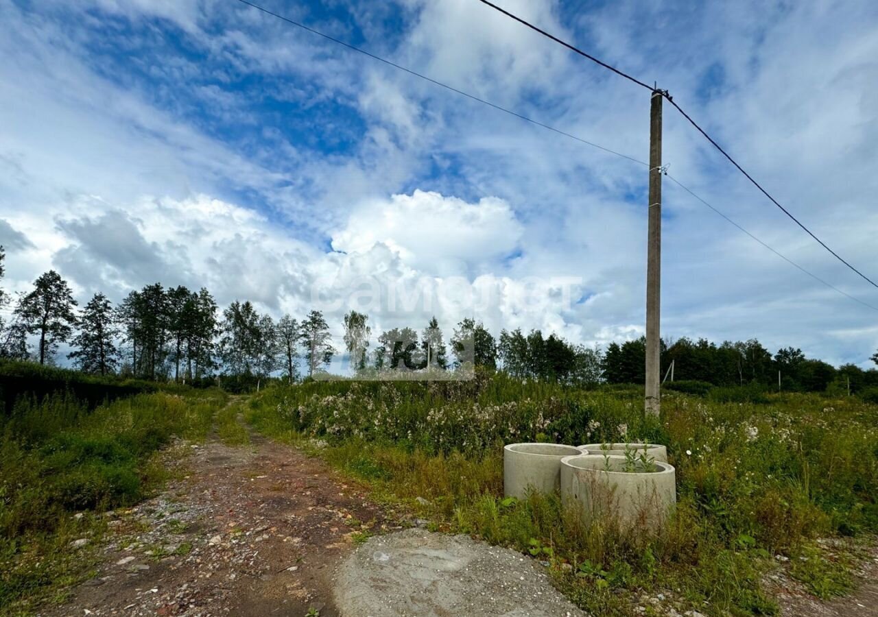 земля городской округ Богородский д Калитино 9772 км, Ногинск, Щёлковское шоссе фото 6