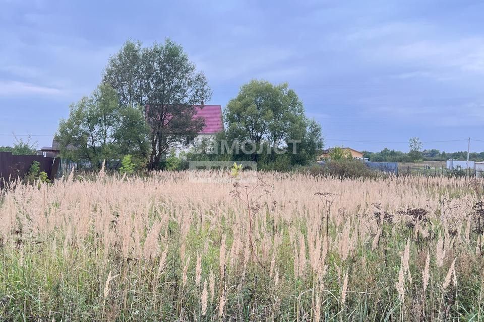 земля городской округ Воскресенск село Конобеево фото 6