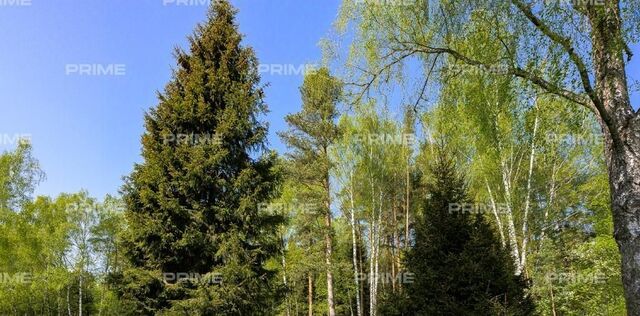 земля д Немчиново Озёрная фото