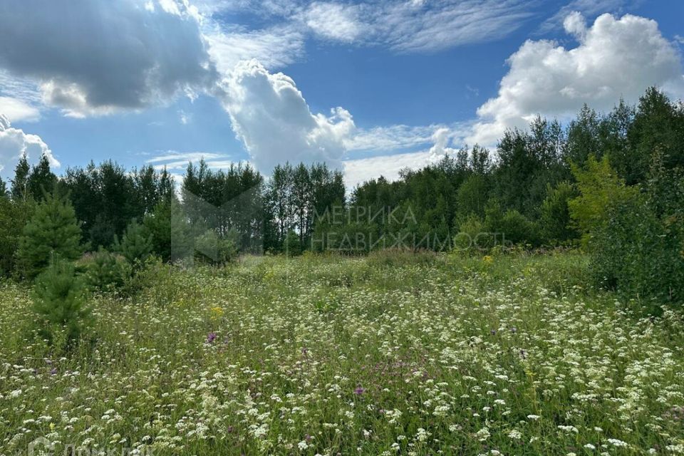 земля р-н Нижнетавдинский с Нижняя Тавда улица Максима Горького фото 1