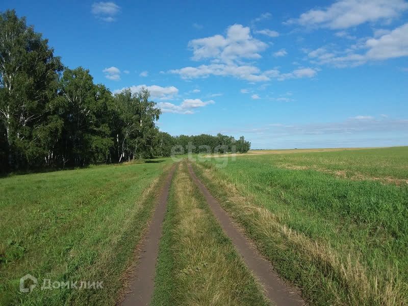 земля р-н Горьковский село Октябрьское фото 2