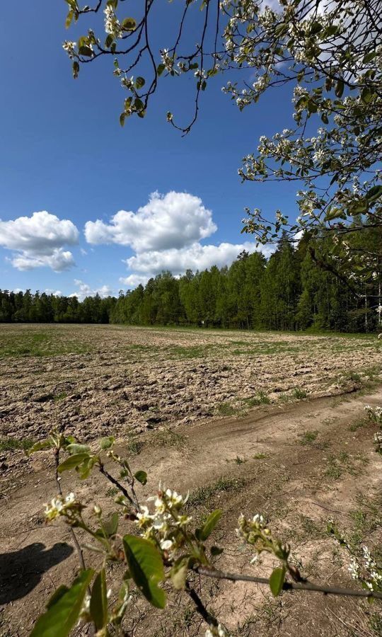 земля г Черноголовка д Беседы ул Весенняя 9771 км, Фряново, Фряновское шоссе фото 2