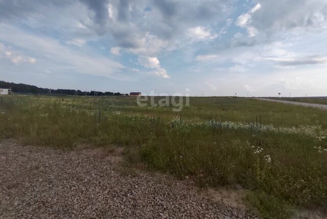 земля Новодарковичское сельское поселение фото