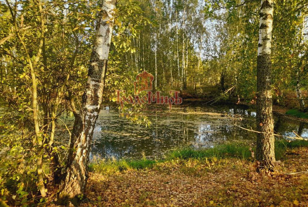 земля городской округ Сергиево-Посадский д Дубининское снт Мечта фото 11