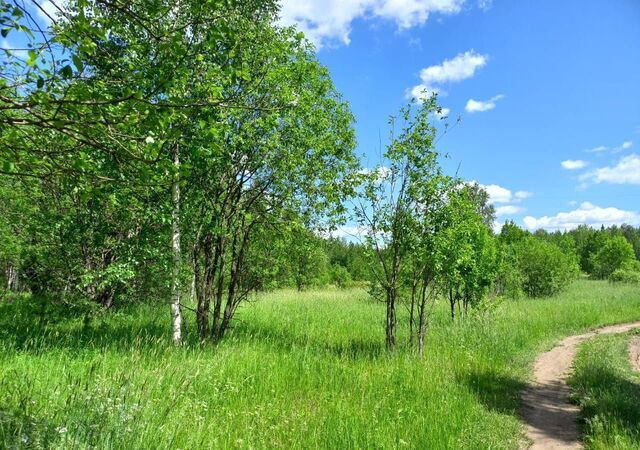 земля р-н Тагилстроевский ул 2-я Звездная 47 фото