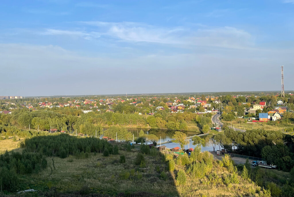 квартира г Москва метро Подольск ул Донская 3 жилой комплекс Город Счастья, Московская область, Домодедово фото 15