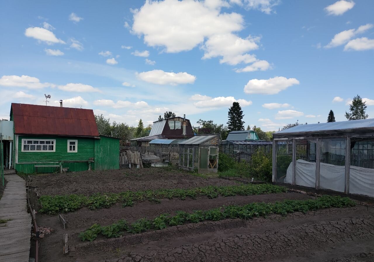 земля р-н Новосибирский снт Дружба Толмачёвский сельсовет, Обь фото 3