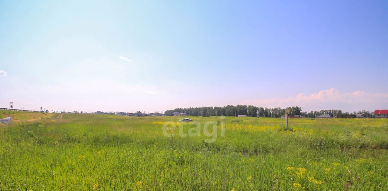 земля р-н Павловский п Молодежный фото 8