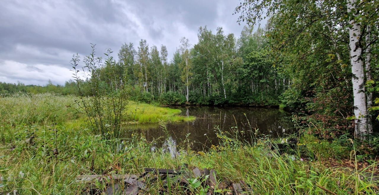 дом р-н Имени Лазо с Кругликово ул Пионерская 39 р-н им. Лазо, Корфовский фото 23