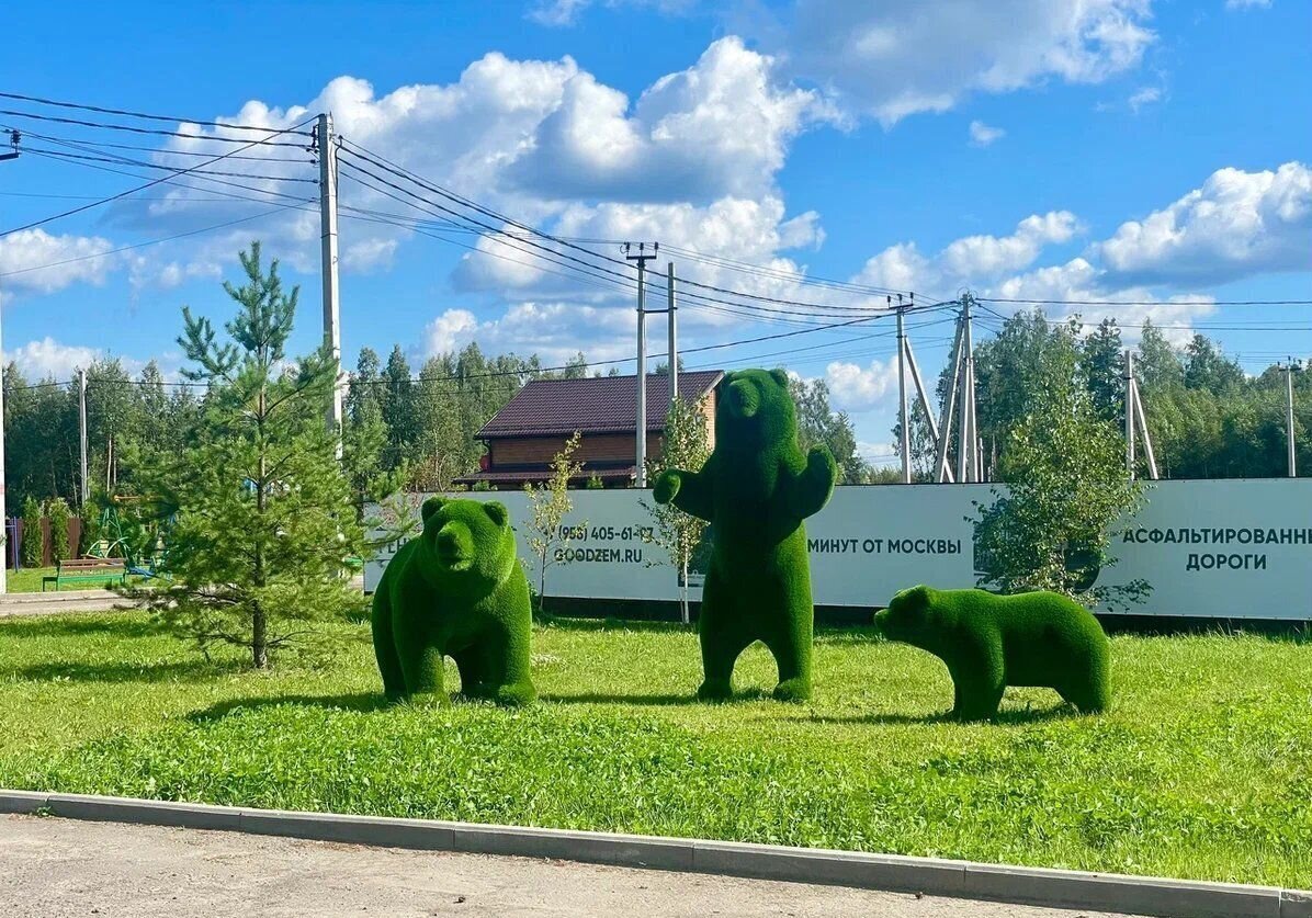 земля городской округ Раменский с Речицы 9760 км, коттеджный пос. Фенино Лесное, Егорьевское шоссе фото 7