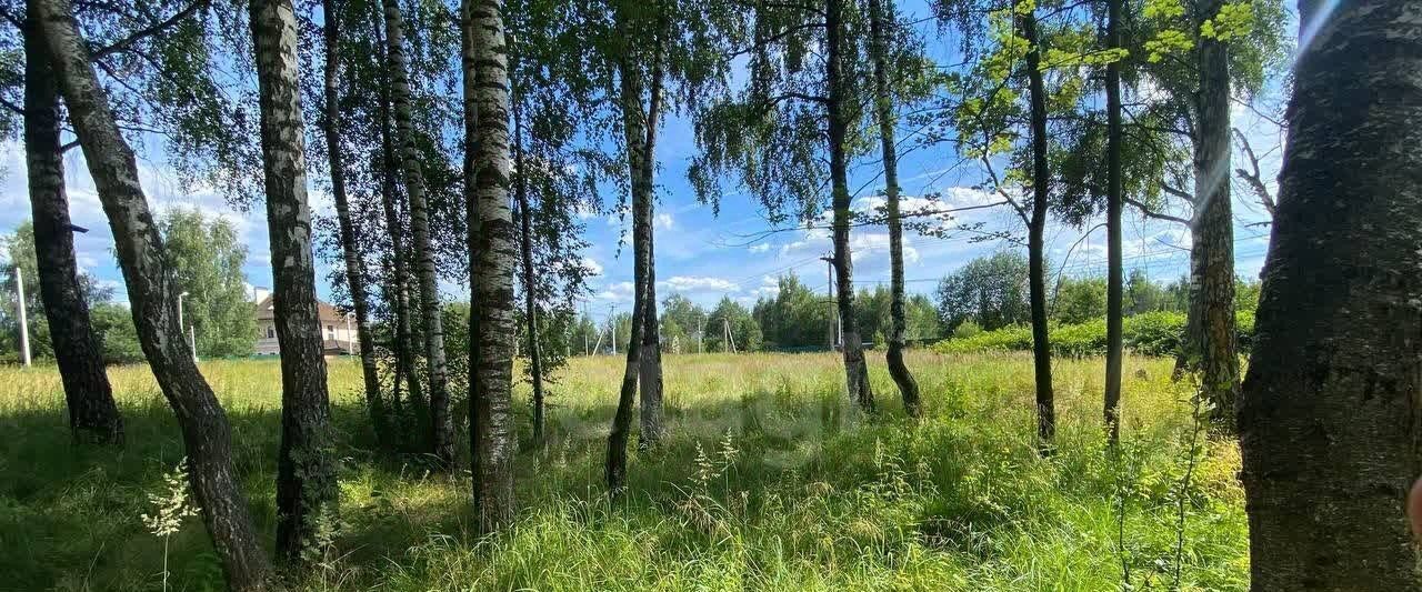 земля городской округ Мытищи д Витенево 8 фото 15