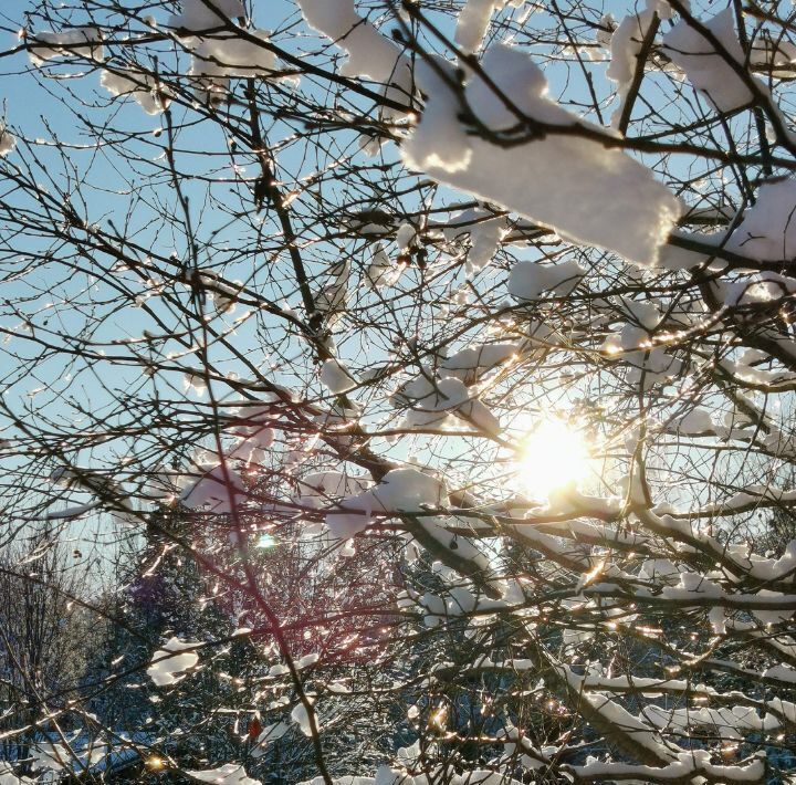 дом городской округ Рузский Мамошино Ком дп, ул. Филипповская, 17 фото 31