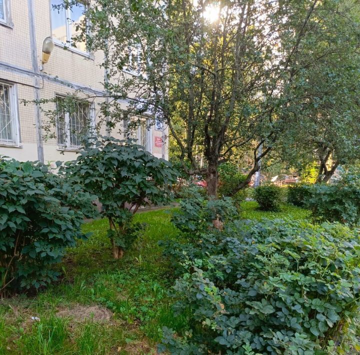 квартира г Санкт-Петербург метро Улица Дыбенко ул Хасанская 8к/1в фото 14
