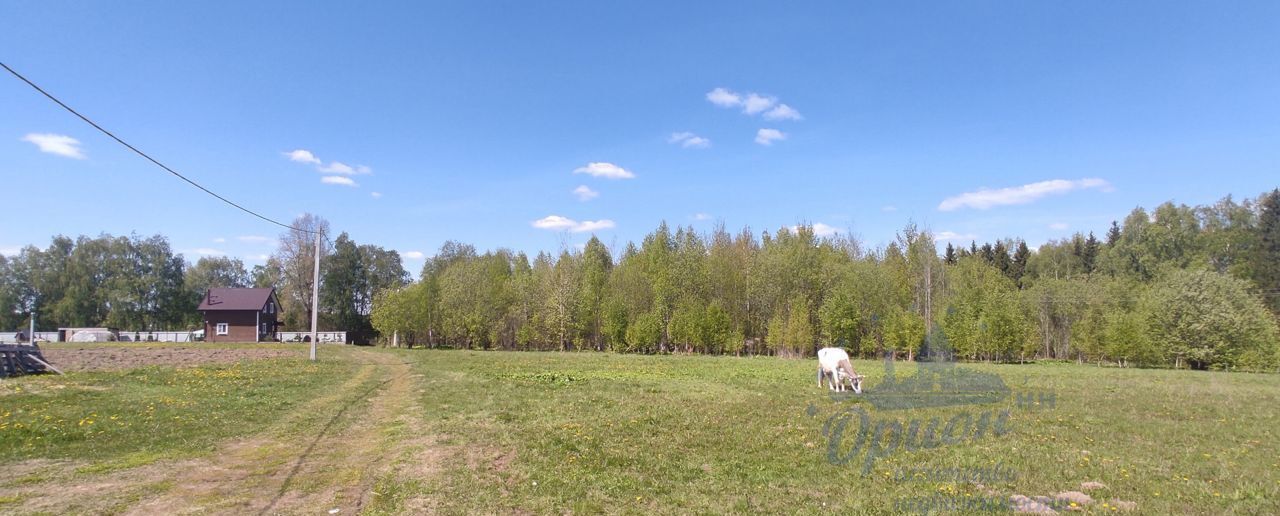 земля р-н Чкаловский с Вершилово ул Чкалова Заволжье, г. о. Чкаловск фото 3