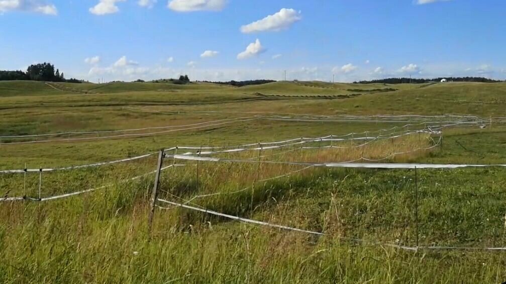 земля р-н Всеволожский д Токкари Улица Дыбенко, Колтушское городское поселение фото 4