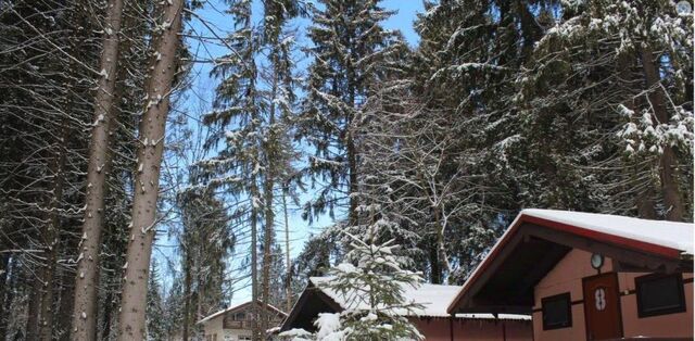 городской округ Мытищи п Летчик-Испытатель фото