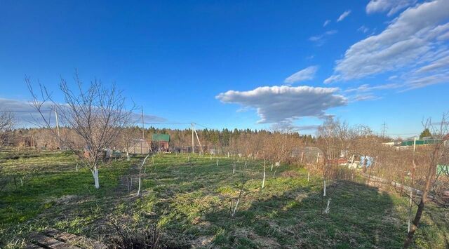 городской округ Сергиево-Посадский п Реммаш фото