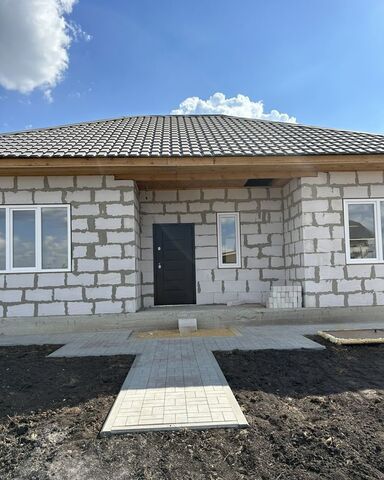 ул Никольская Кузовский сельсовет, Грязи фото