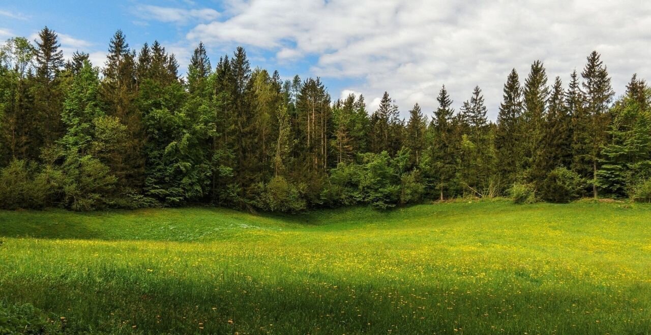 земля р-н Белоярский рп Белоярский ул Парковая загородный комплекс Лайф, Верхнее Дуброво фото 2