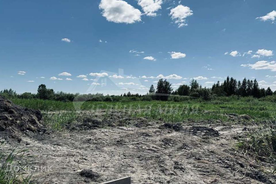 земля г Тюмень городской округ Тюмень, Березняковская улица фото 2