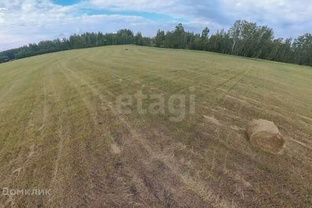 село Луговое фото