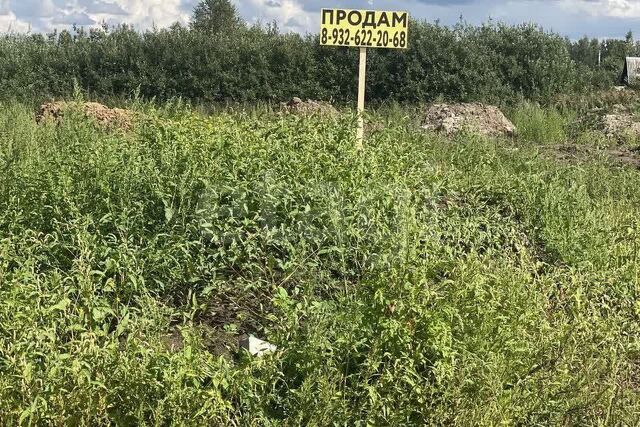 городской округ Тюмень, Высокая улица, садовое товарищество Поле Чудес фото