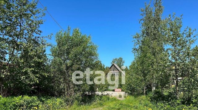 снт Климовец ул Северная 138 метро Парнас фото